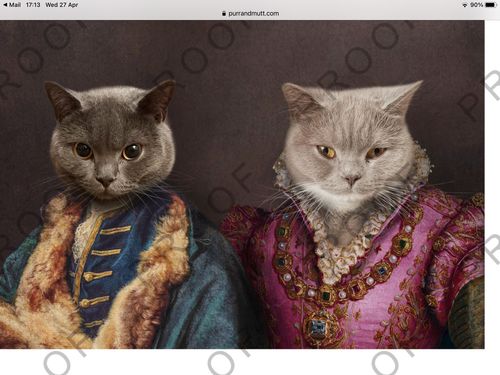 Customer photo review of The Count & The Countess – Custom Vintage Pet Portrait