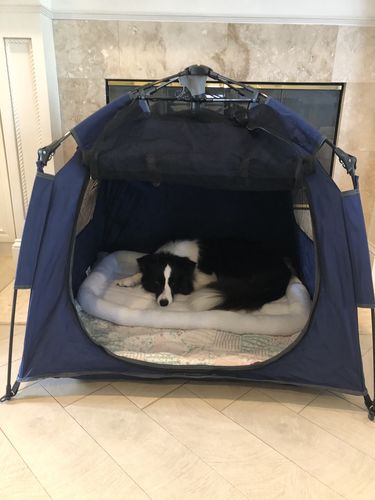 Customer photo review of Route Package Protection