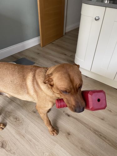 Customer photo review of The Fenrir Hammer