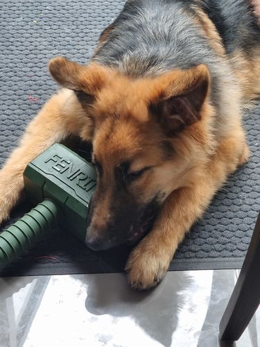 Customer photo review of The Fenrir Hammer