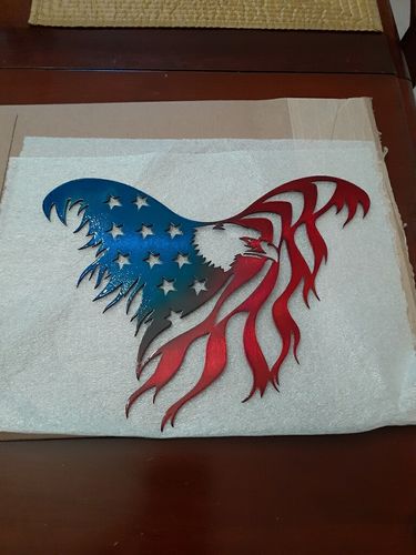 Customer photo review of Flying American Eagle / No Banner