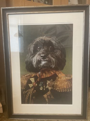 Customer photo review of The General - Custom Vintage Pet Portrait