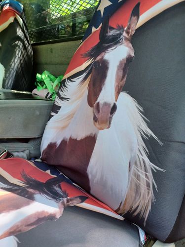 Customer photo review of American Flag Wild Amazing Horse All Protective Car Seat Covers 210102
