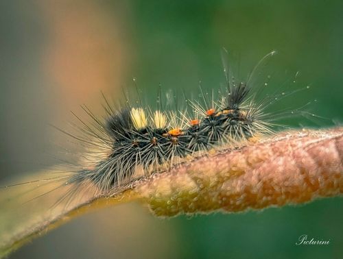 Customer photo review of Master Collection Bundle 130 Lightroom Presets