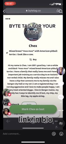 Customer photo review of Evergreen