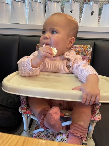 Customer photo review of Paloma baby chair v2