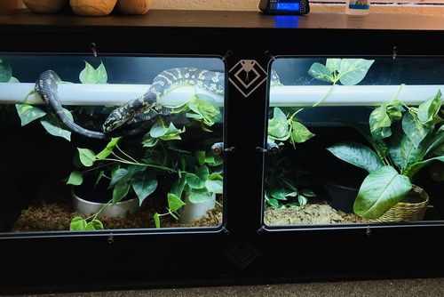 Customer photo review of XT4 (48Lx24Dx24H) - STACKABLE