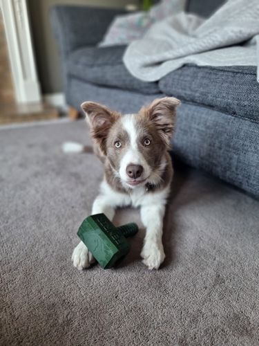 Customer photo review of The Fenrir Hammer