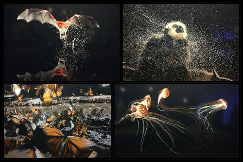 Customer photo review of Leuchtbild | Eigenes Motiv | Querformat