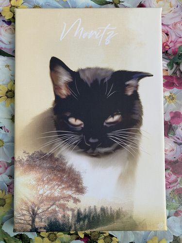 Customer photo review of Natur Pawtrait