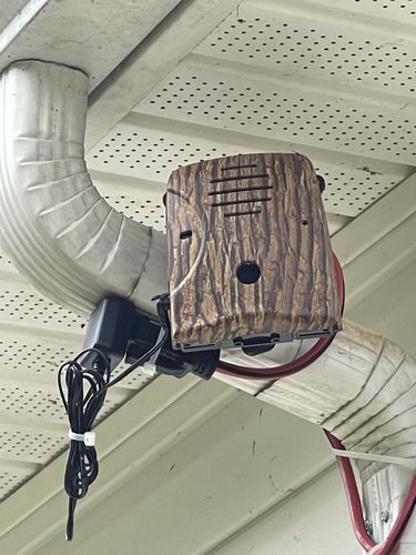 Customer photo review of Dog Silencer® MAX