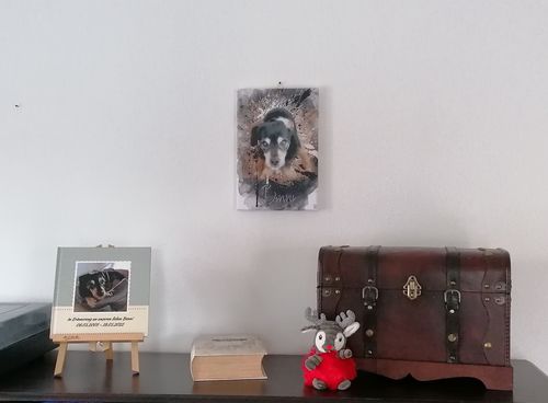 Customer photo review of Graffiti Pawtrait