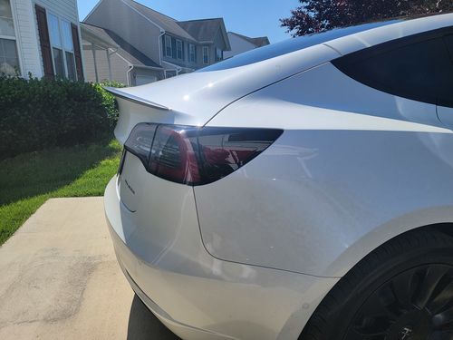 Customer photo review of Genuine Carbon Fiber Performance Spoiler for Tesla Model 3