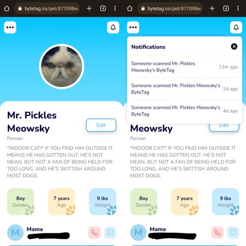 Customer photo review of Biscuits