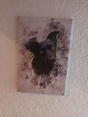 Customer photo review of Aquarell Pawtrait