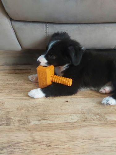 Customer photo review of The Fenrir Hammer