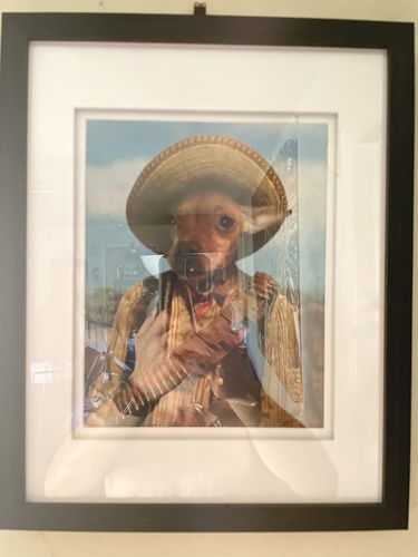 Customer photo review of The Outlaw - Custom Vintage Pet Portrait