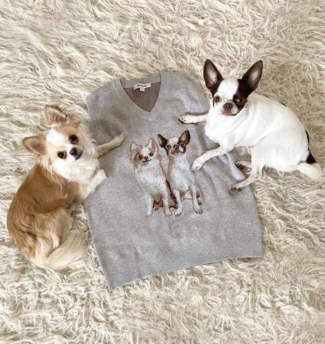 Customer photo review of Custom Pet Sweater Vest
