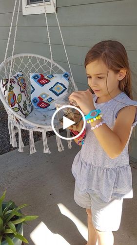 Customer video review of Classic Live Monarch Butterfly Chrysalis Box