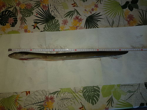 Customer photo review of 10g Smart Fishing Float