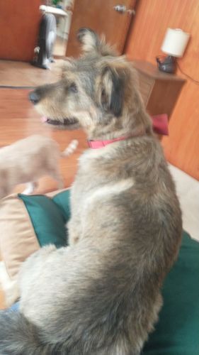 Customer photo review of CAMA ORIGEN VERDE BOTELLA - CAFE