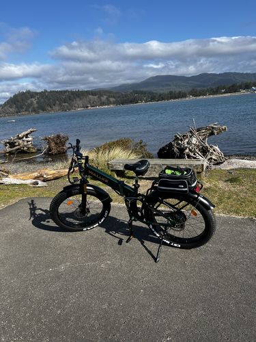 Customer photo review of Wallke X3 Pro | Full Suspension Folding Electric Fat Bike