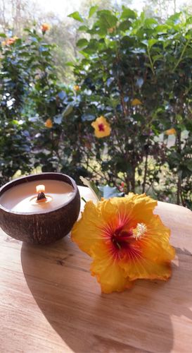 Customer photo review of Candle Making Kit Coconut - Starter DIY Kit Without Wax Includes 30ml Fragrance