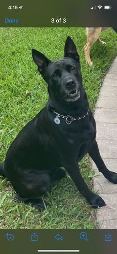 Customer photo review of Explorer