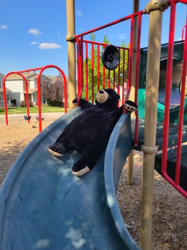 Customer photo review of SKOGGY BEAR