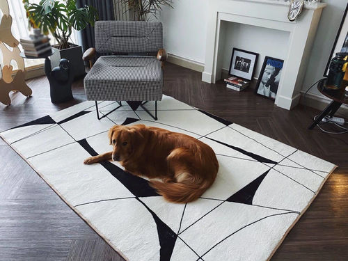 Customer photo review of Simple irregular rug, living room area rug
