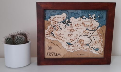 Customer photo review of SKYRIM 3D MAP