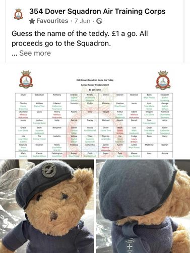 Customer photo review of Royal Air Force Cadet Bear