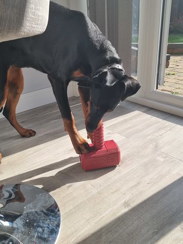 Customer photo review of The Fenrir Hammer