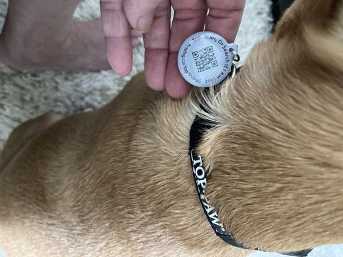 Customer photo review of White