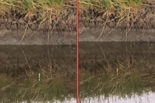 Customer photo review of 5g Smart Fishing Float