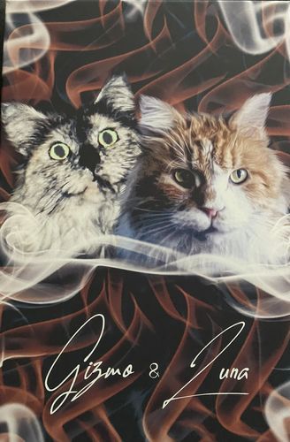 Customer photo review of Rauch Pawtrait