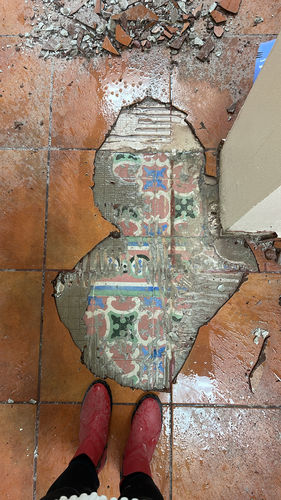 Customer photo review of Steel Toe Meti II in Cherry Bomb (EH)