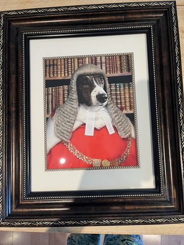 Customer photo review of The Judge - Custom Pet Portrait