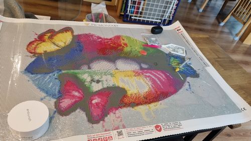 Customer photo review of GRATIS Diamond Painting - Bunte Feder der Unendlichkeit