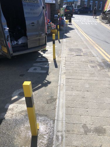 Customer photo review of 100-P Removable Post