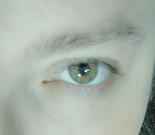 Customer photo review of Gem Brown Contact Lenses(12 months wear)