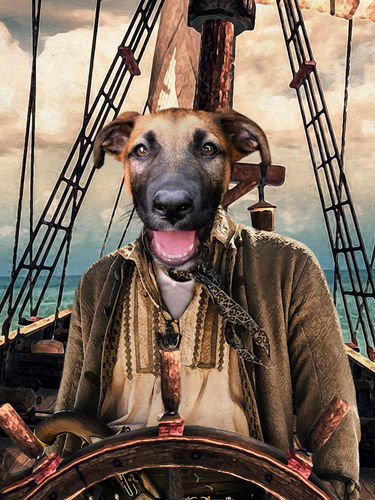 Customer photo review of The Pirate - Custom Pet Portrait