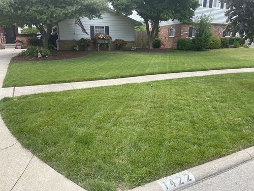 Customer photo review of Protene Hybrid Summer Fertilizer 6-0-0 +14% Fe
