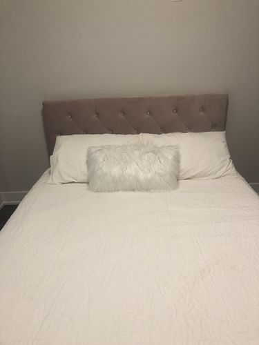 Customer photo review of Salem Platform Queen Bed - Blush Velvet