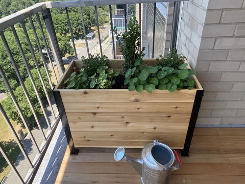 Customer photo review of 18″ x 18″ Planter Box 24" Tall