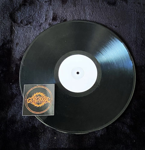 Customer photo review of Party Cannon - Volumes of Vomit (Test Press Vinyl)