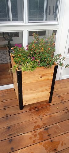 Customer photo review of 18″ x 18″ Planter Box 24" Tall