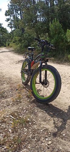 Customer photo review of RICH BIT TOP-012 Powerful 1000W 48V 17Ah Electric Fat Bike