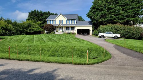 Customer photo review of Protene Hybrid Summer Fertilizer 6-0-0 +14% Fe