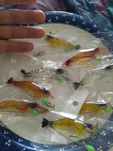 Customer photo review of 9pack - Amazing ShrimpBaitX™ Fishing Lures